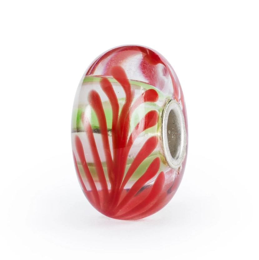 Ali Dell’Unità - Main view