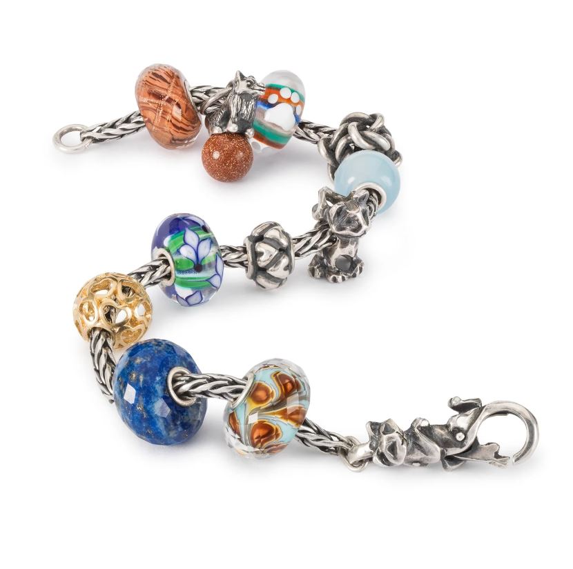 Compagno Per La Vita - View1