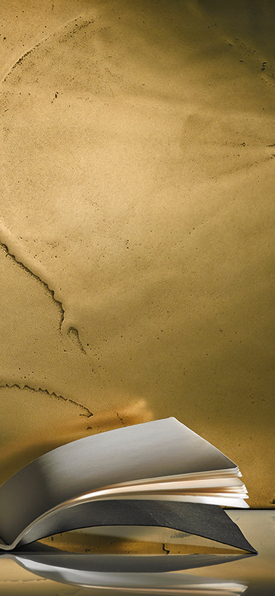 Metallo_Fuso, the decorative coating with copper, tin, brass and bronze effects