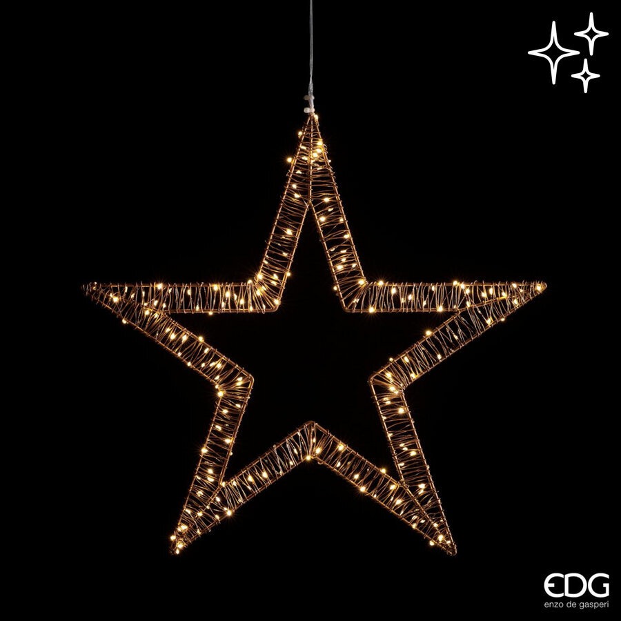 Stella Microled Flashing Light per Esterno 250 Led Cavo Argento Luce Calda Intermittente IP44 d.60 + 3 mt Edg