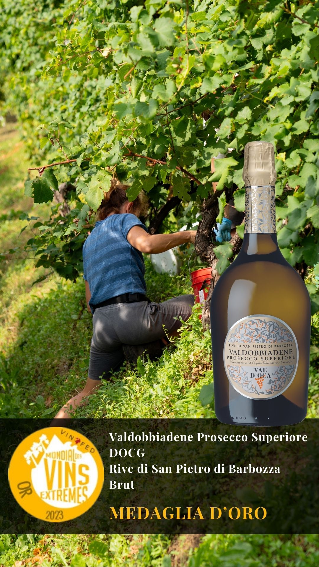 Medaglia d'Oro al concorso Mondial des Vins Extrêmes