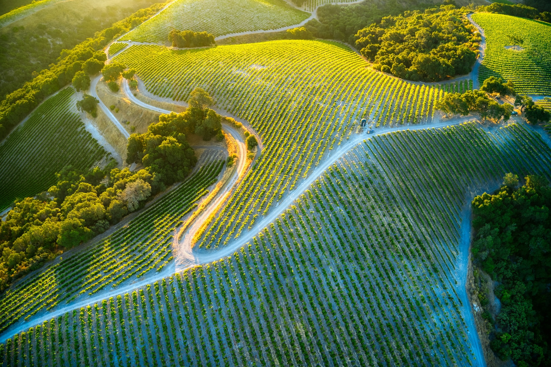 Sentiero delle Vedette, escursioni sulle Colline del Prosecco Superiore