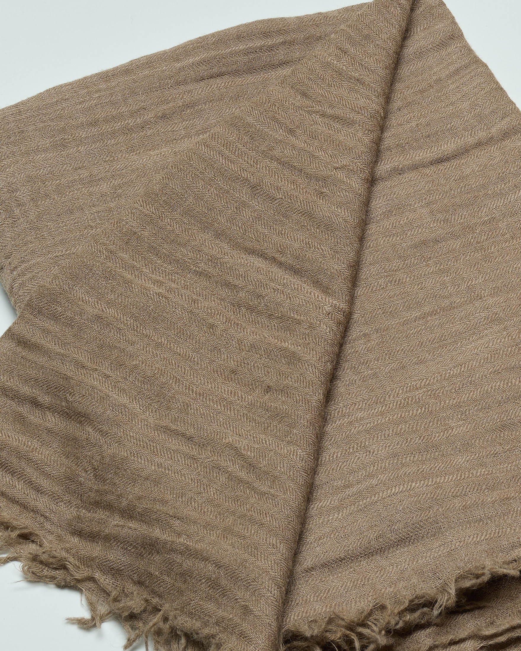 Sciarpa Raja color noce in pura lana rifinita con frangette image