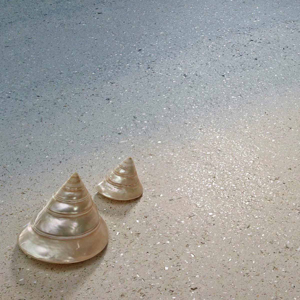 MateriaViva Conchiglia