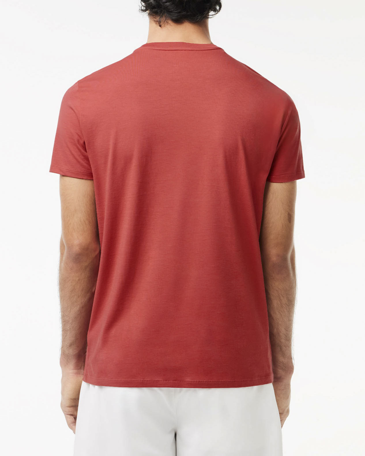 T-shirt corallo in pima cotton con logo coccodrillo verde image