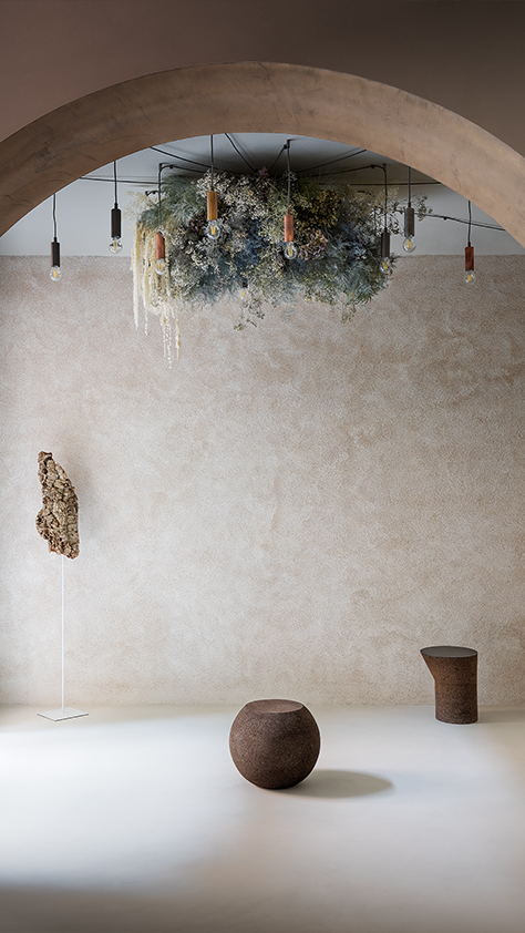 Materia Viva Sughero