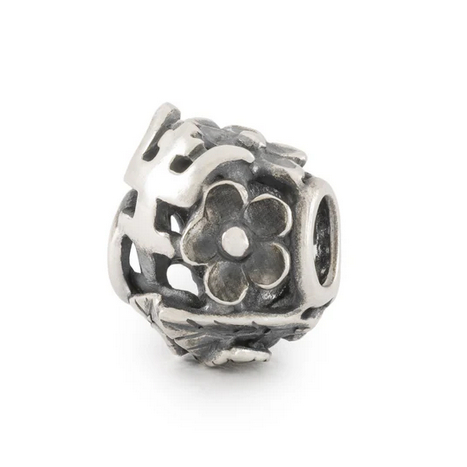 Longevity Fiori - Main view