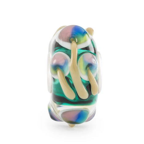 Funghetti Dell'Equilibrio - View2