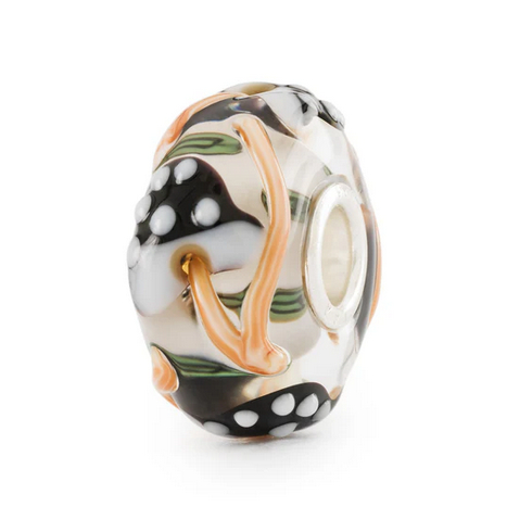 Funghetti Della Magia - Main view