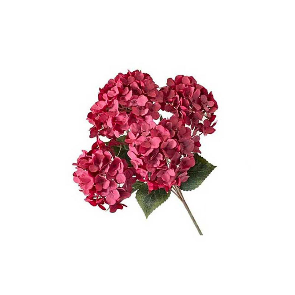 Vea Mazzetto Di Ortensia Con 5 Steli Colore Rosa