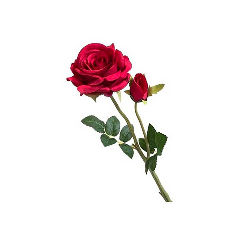 Vea Rosa Rossa 2 Steli 47 Cm