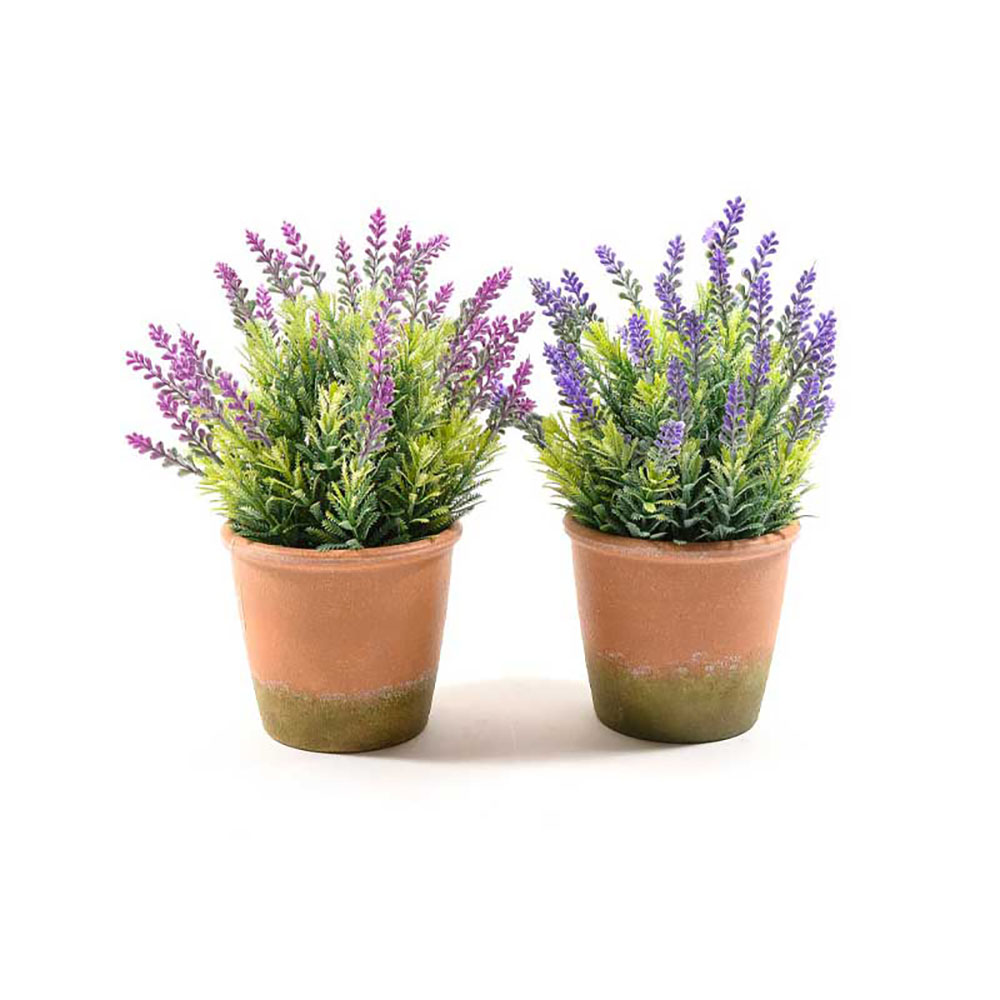 Mercury Piantina Di Lavanda In Vaso Diametro 12X25H Cm - 2 Colori 