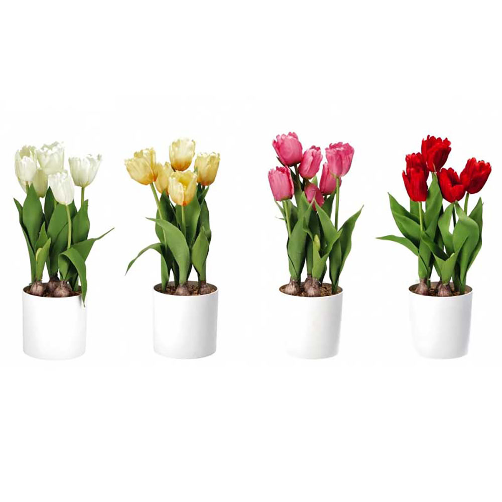 Ad Trend Vaso Con Tulipani Diametro 15X49 Cm - 4 Colori 