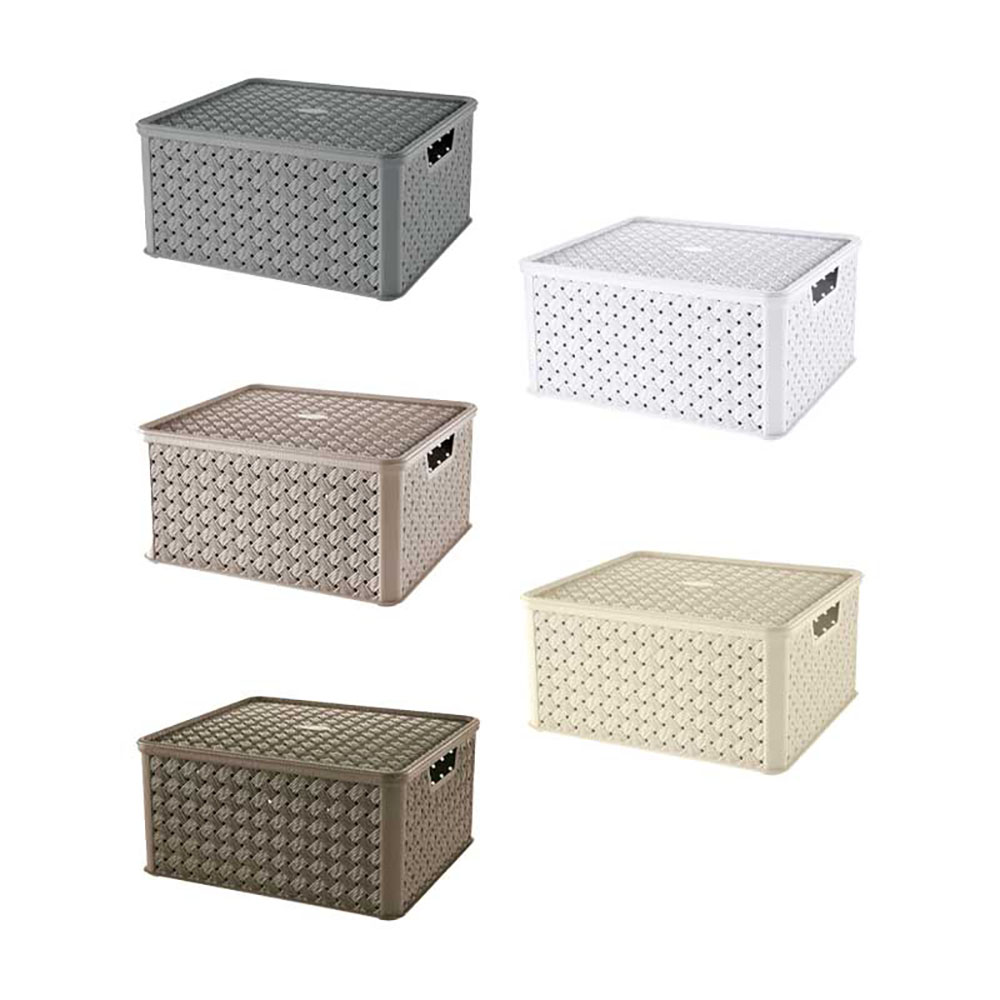 Tontarelli Scatola Arianna In Plastica Con Coperchio 13 Lt 29X33,2X16,5H Cm - 5 Colori