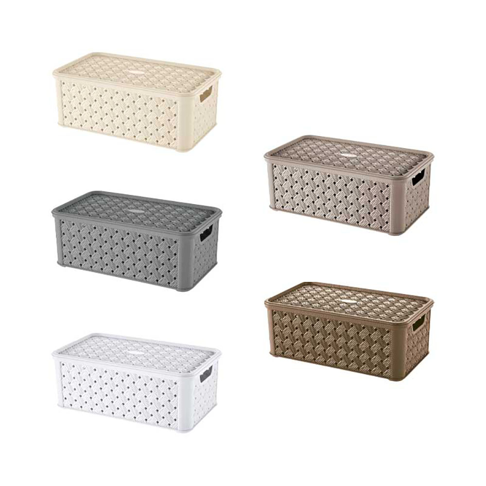 Tontarelli Scatola Arianna In Plastica Con Coperchio 4 Lt 16,6X29X11,2H Cm - 5 Colori