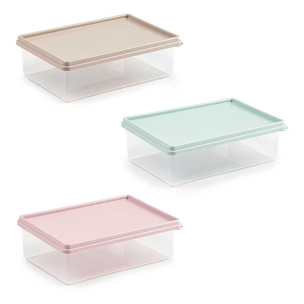 Plastic Forte Contenitore Fresh In Plastica 21X13,5X6H Cm 1 lt - 3 Colori