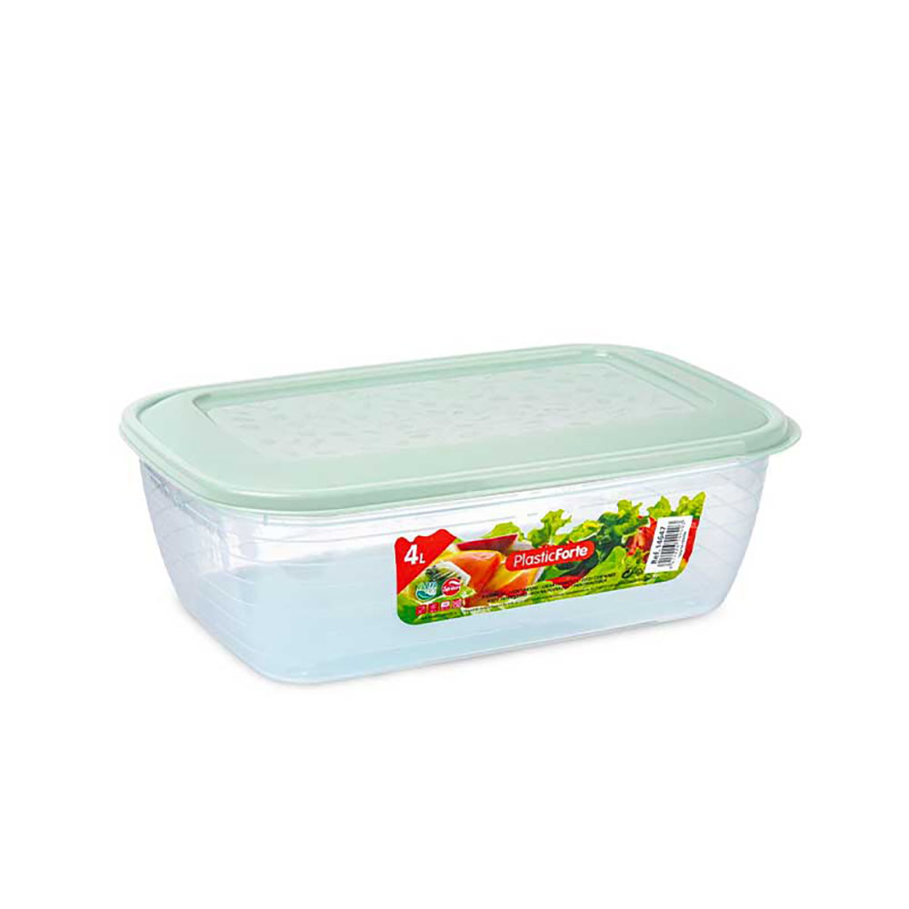 Plastic Forte Contenitore Classic In Plastica Colore Verde 30X20X9H Cm 4 Lt