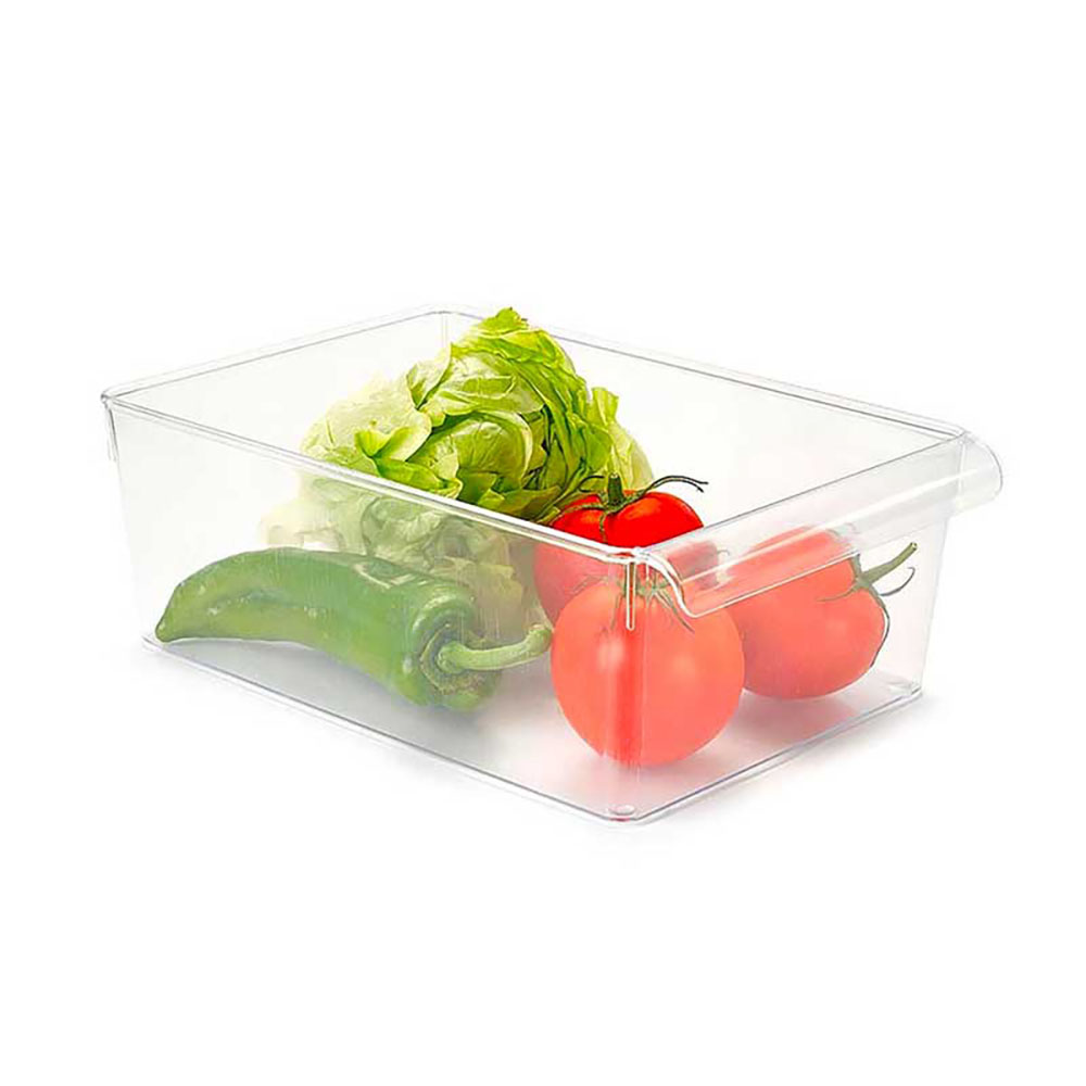 Plastic Forte Organizer Per Frigo In Plastica 19X29X10H Cm
