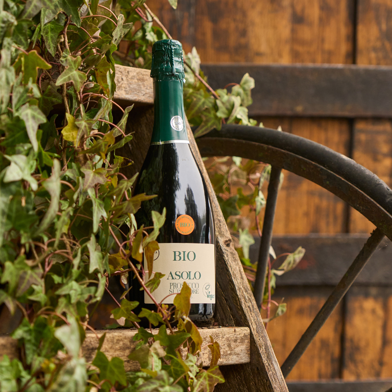 Bio Vegan Asolo Prosecco Superiore DOCG Extra Dry - thumb image 2