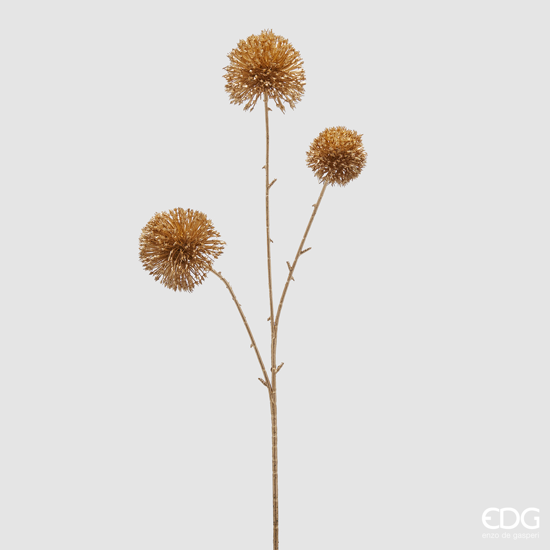 Aneto Rex Ramo Metal h.65 Edg