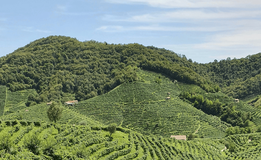 Grand Cru: un prosecco ma anche una zona