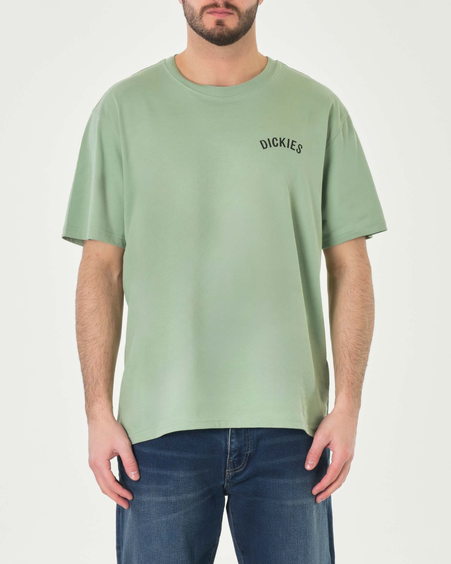 T-shirt verde salvia mezza manica con logo scritta sul petto e maxi grafica serpente a sonagli sul retro