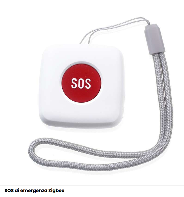 Pulsante Di Chiamata D'emergenza Rauland RS502, Programmabile Per Privacy E Info