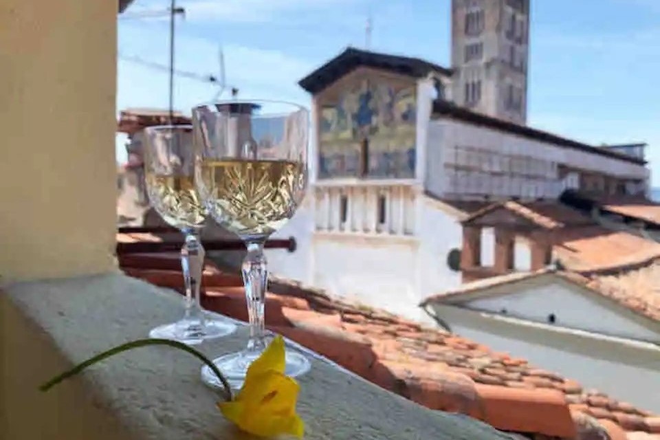 NIDO DI SAN FREDIANO
