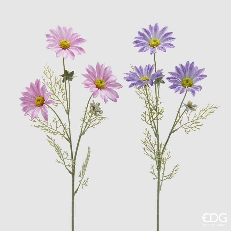 Margherita Ramo x3 con Foglie 2A h.65 Edg