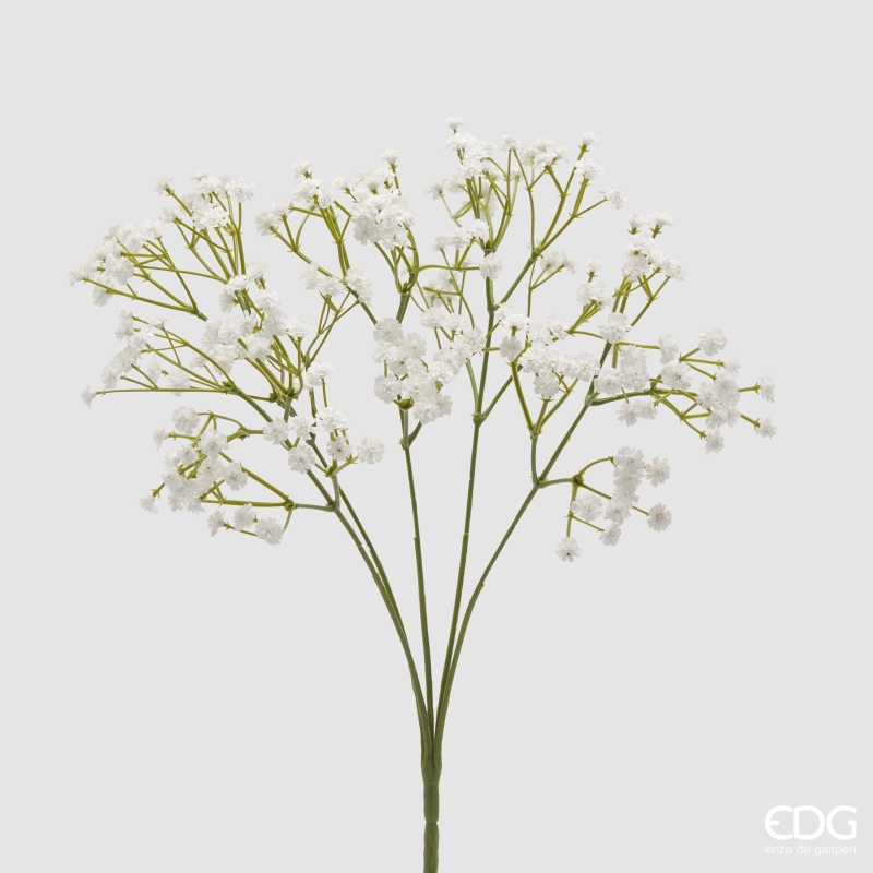 Gypsophila Cespuglio Bianca h.40 Edg