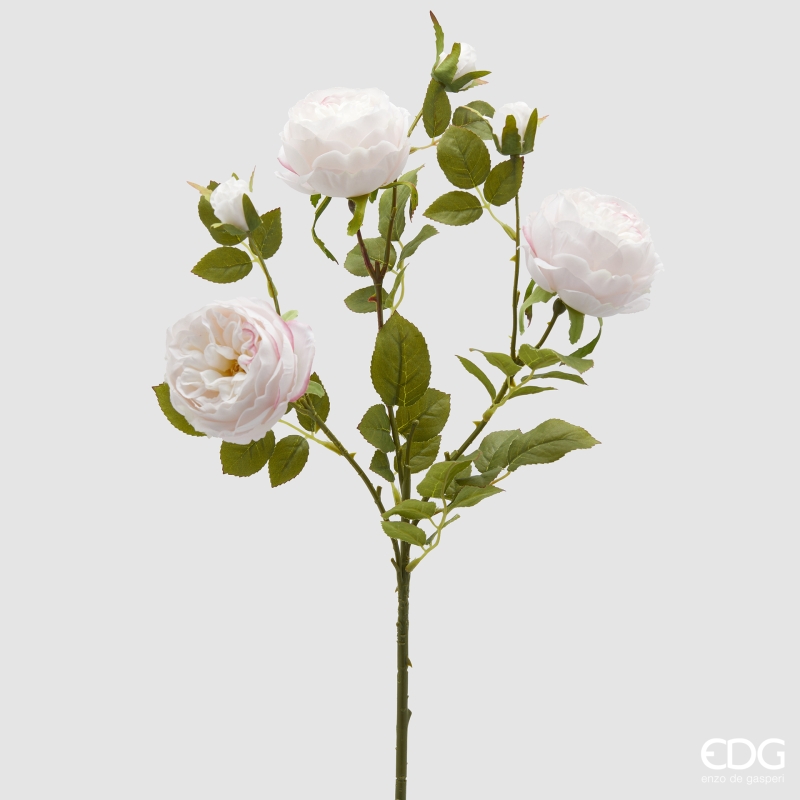 Rosa Sonia Ramo x3 con foglie con Bocciolo Rosa Chiaro h.65 Edg