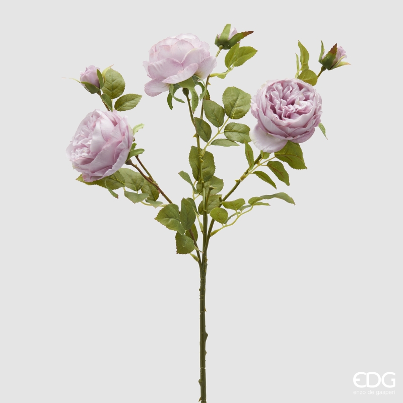 Rosa Sonia Ramo x3 con foglie con Bocciolo Rosa Antico h.65 Edg