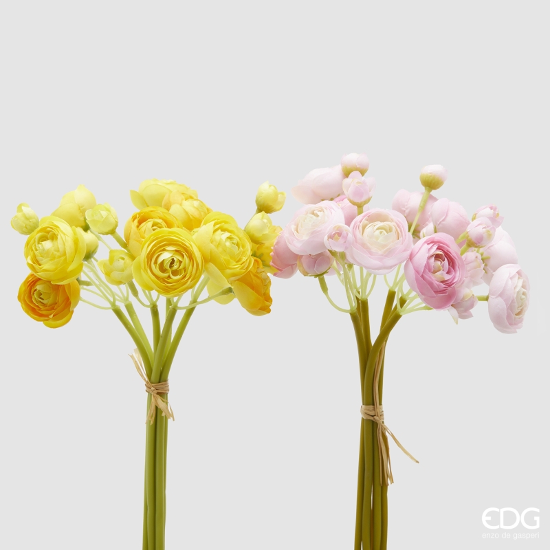 Ranuncolo Mazzo x6 2A h.30 Edg