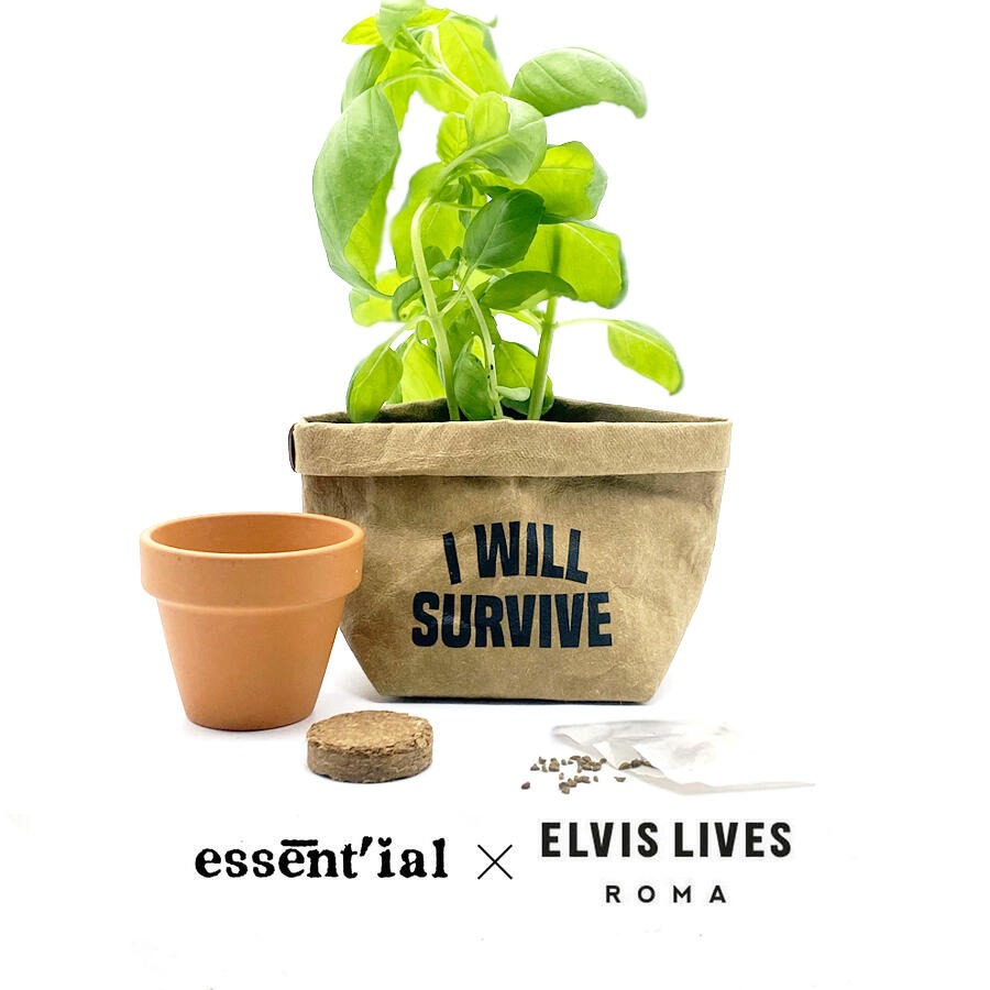 Do It Yourself Kit - Survive - Small