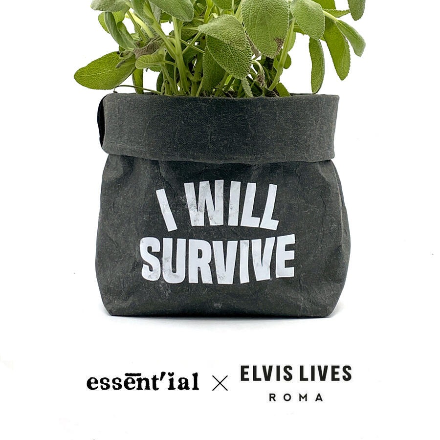 Sacchetto Survive - Black