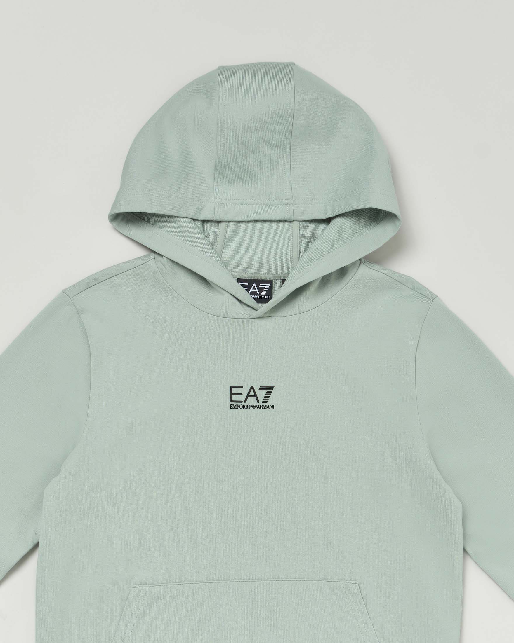 Felpa color salvia con cappuccio e mini logo stampato image