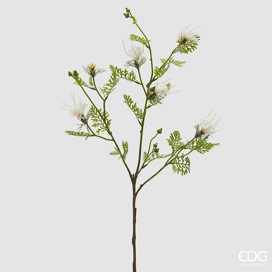 Fiordaliso Ramo x5 con Foglie e Bocciolo h.80 Edg