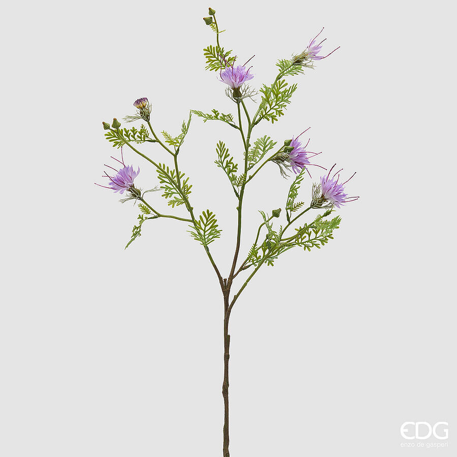 Fiordaliso Ramo x5 con Foglie e Bocciolo h.80 Edg