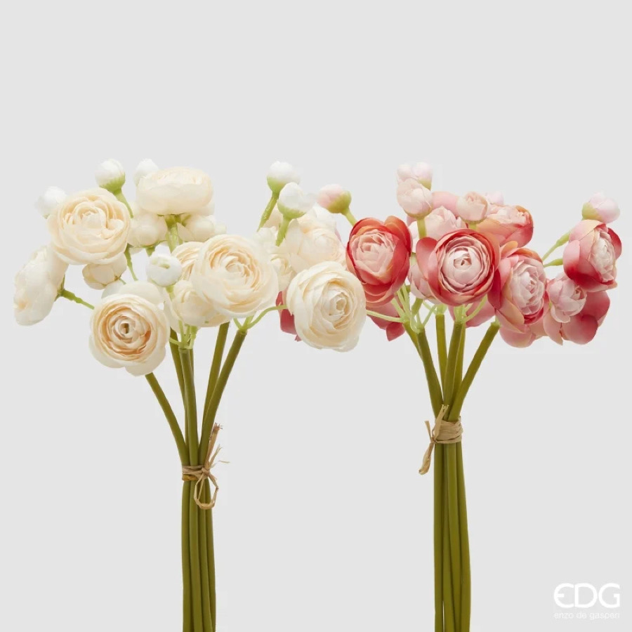 Ranuncolo Mazzo x6 2A h.30 Edg