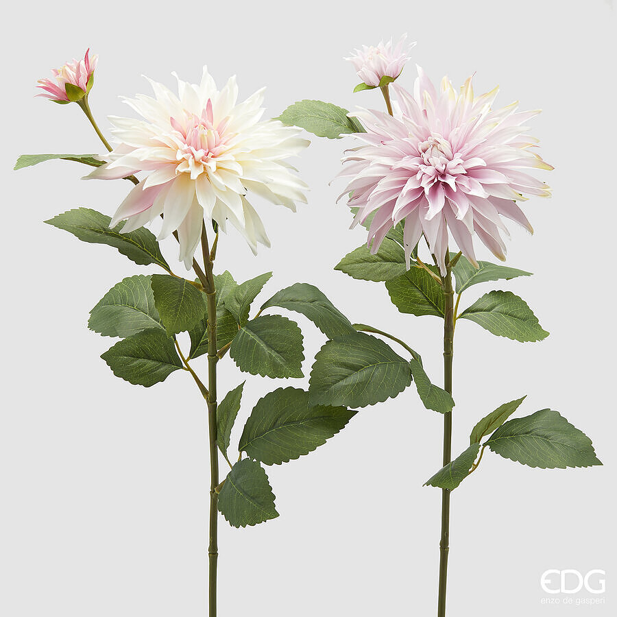 Dalia Ramo con foglie con Bocciolo 2A d.20 h.80 Edg