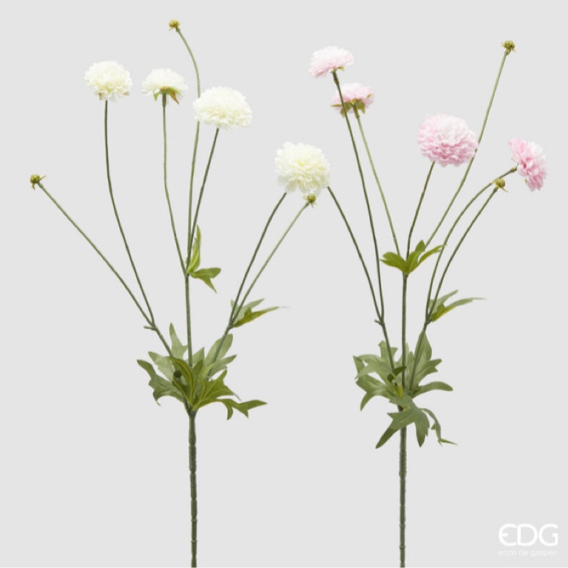 Dalia Mini Ramo x4 con Foglie 2A h.75 Edg