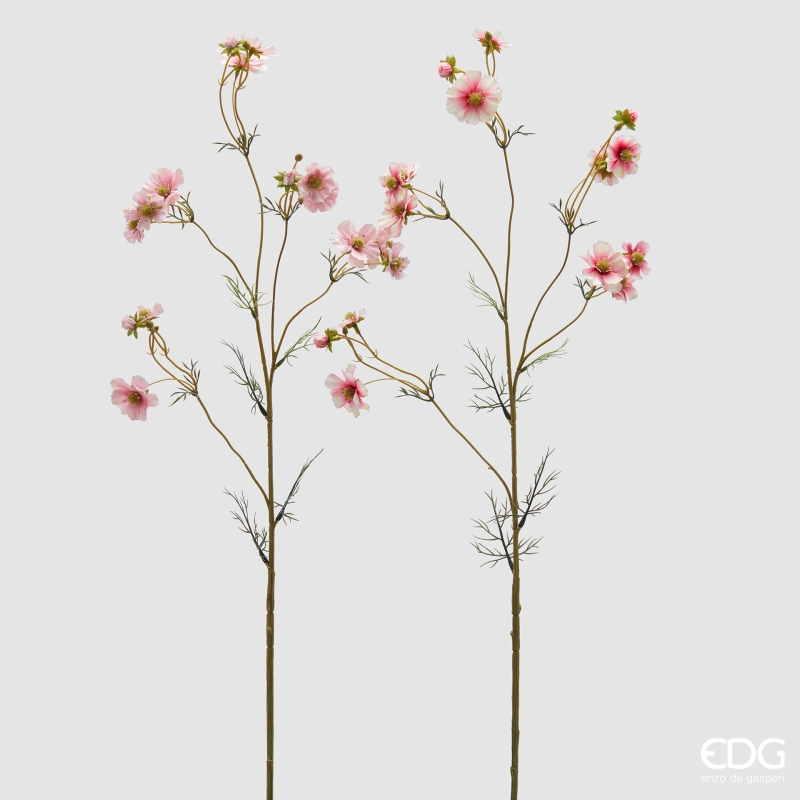 Cosmos Mini Ramo con Foglie Rosa 2A h.90 Edg