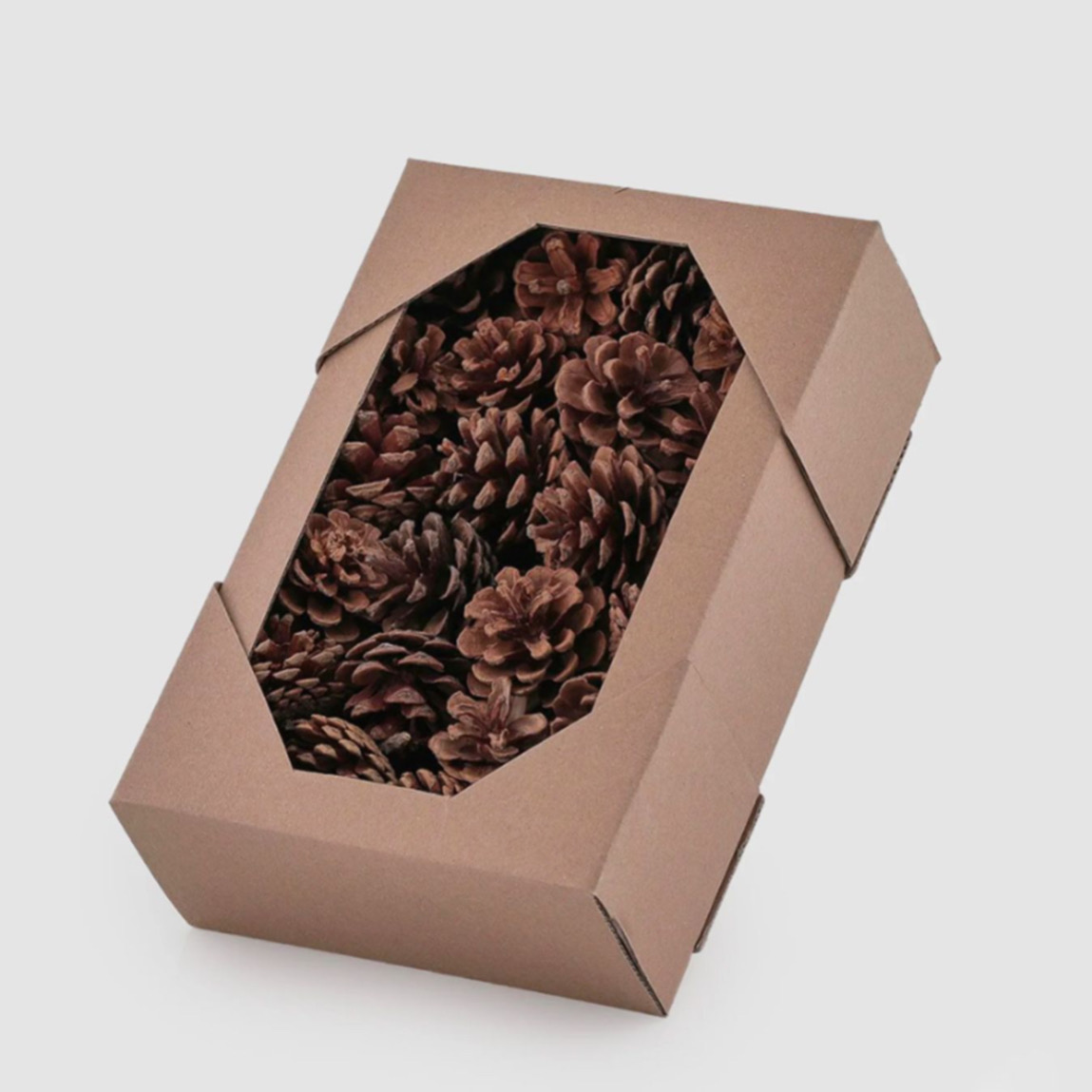 Pigna Pino Marittimo d.6 Edg