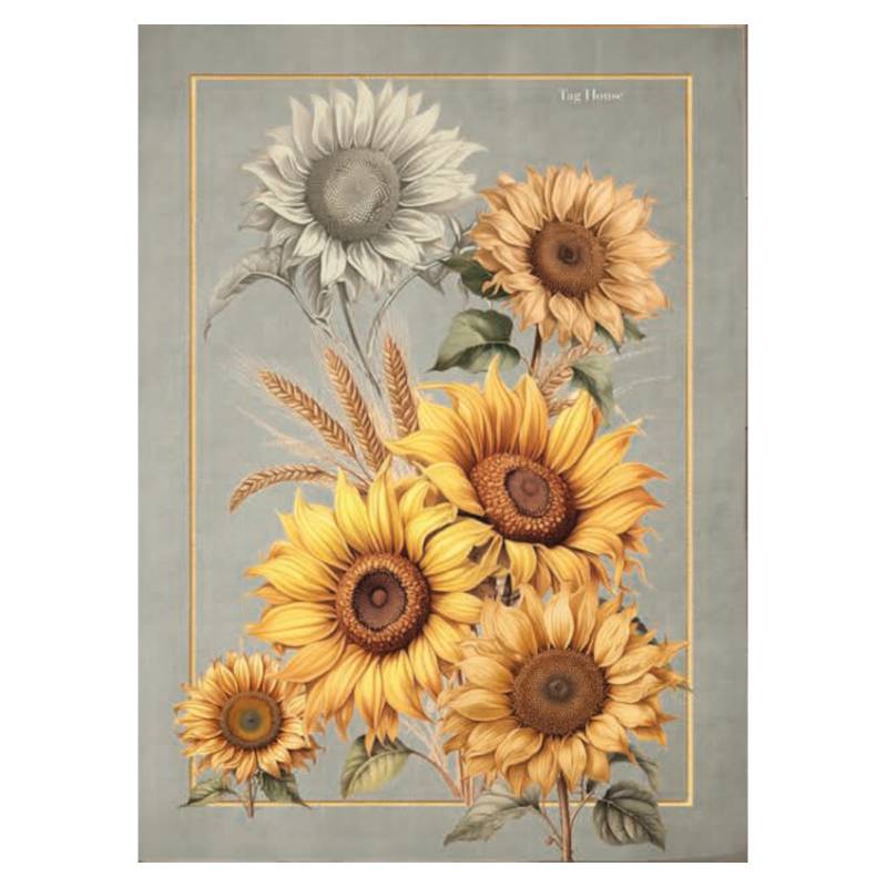 Enesco Strofinaccio In Cotone Multicolore 67 Cm, Con Ricamo 'Aunt - I'd Like You Even If We Were 't Related'