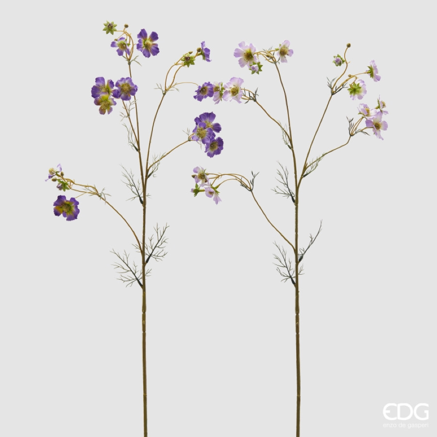 Cosmos Mini Ramo con Foglie Lilla 2A h.90 Edg