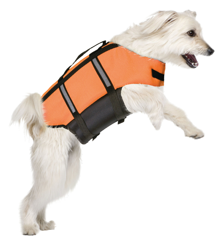 Guinzaglio Doppio Mani Libere - Ideale Per Corse E Passeggiate Con Due Cani - Foto 7