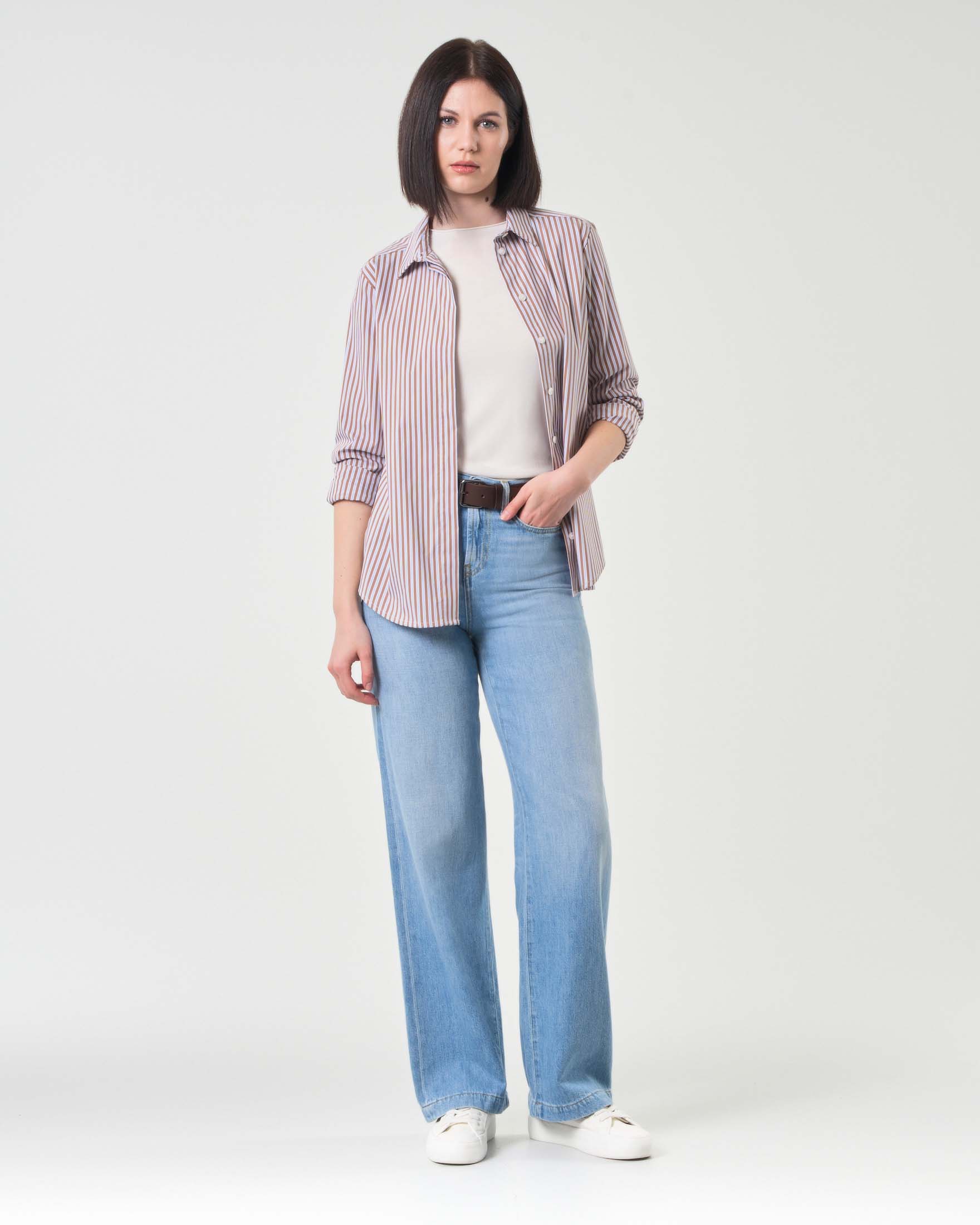 Camicia azzurra in cotone stretch a righe marroni image