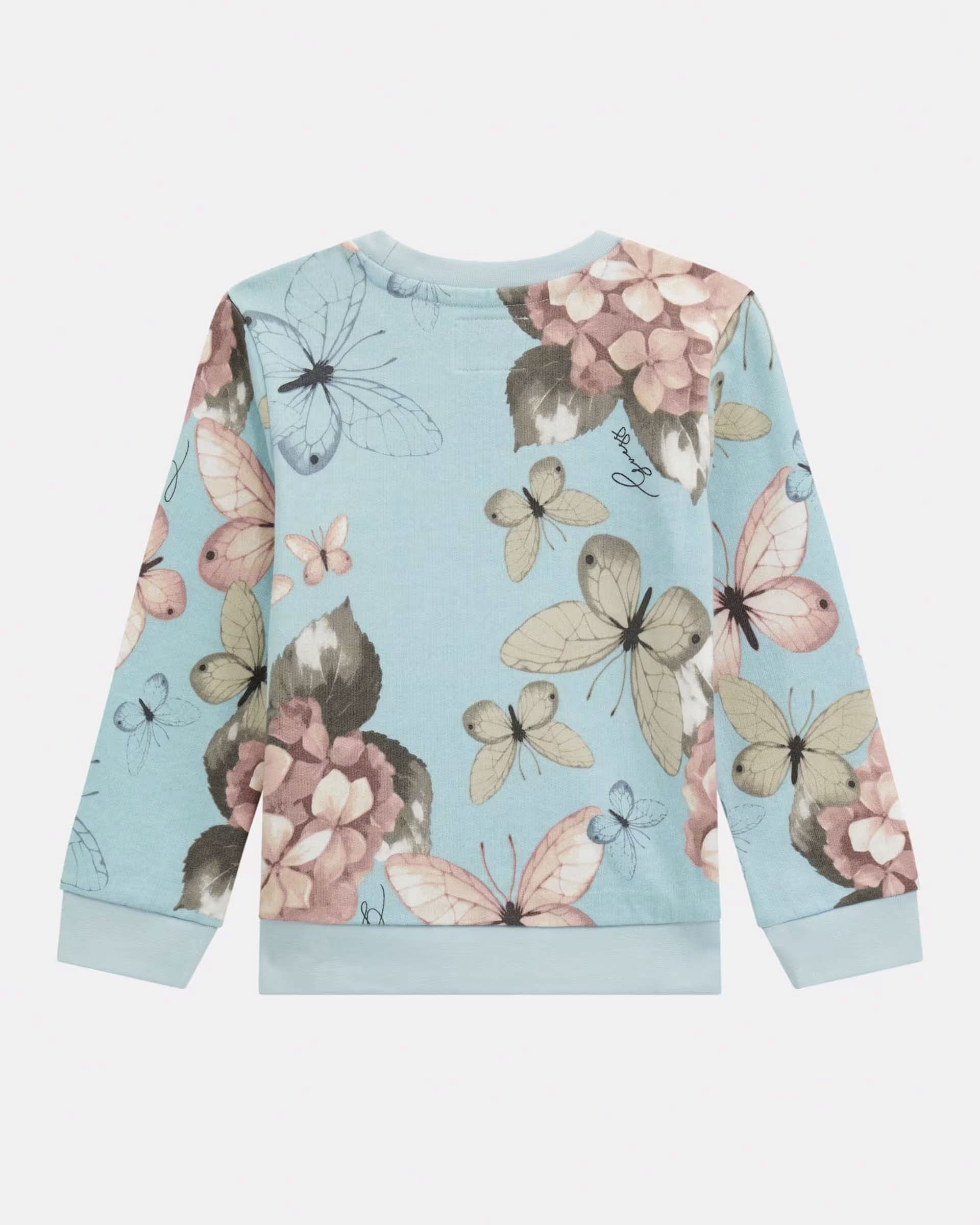 Felpa girocollo color acqua in puro cotone con fantasia farfalle e logo triangolo image