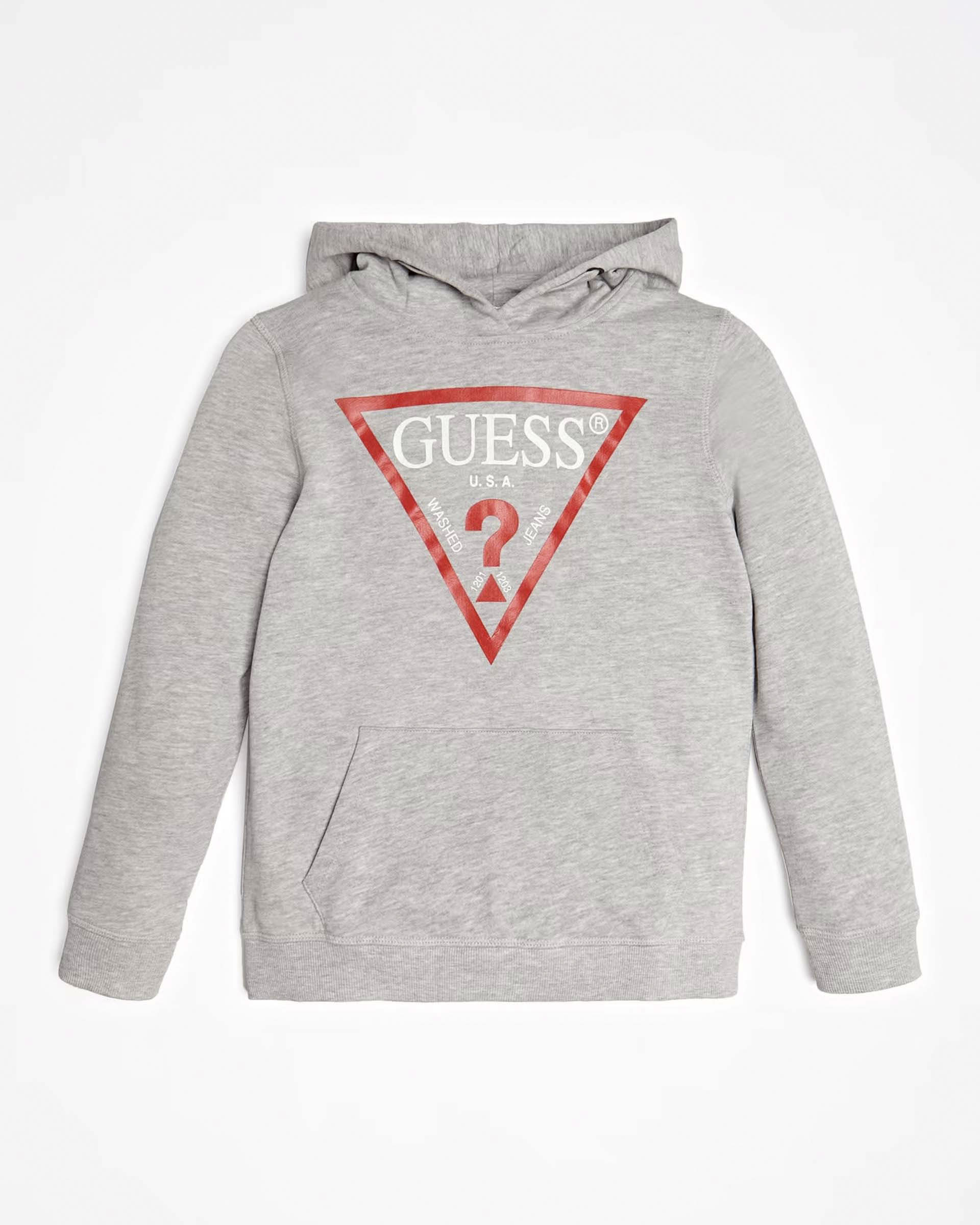 Felpa grigia con cappuccio e logo Icon rosso