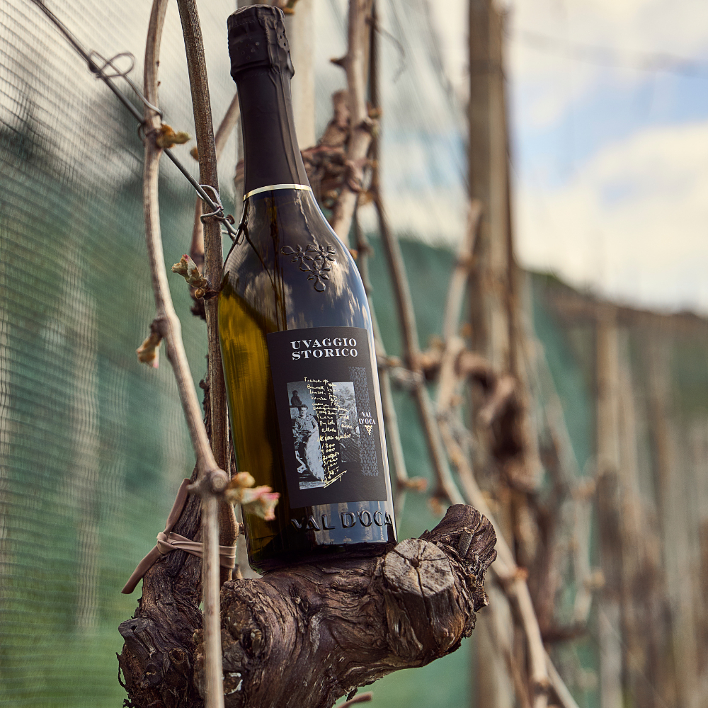 Valdobbiadene Prosecco Superiore DOCG Dry - thumb image 3